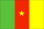 Flag of Cameroon