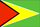 Flag of Guyana